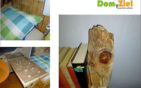 Dom y Ziel